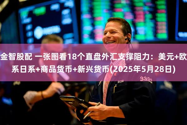 金智股配 一张图看18个直盘外汇支撑阻力：美元+欧系日系+商品货币+新兴货币(2025年5月28日)