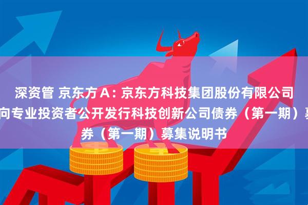 深资管 京东方Ａ: 京东方科技集团股份有限公司2025年面向专业投资者公开发行科技创新公司债券（第一期）募集说明书