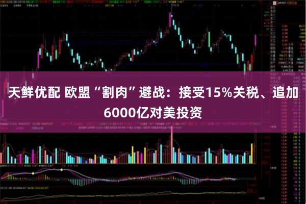 天鲜优配 欧盟“割肉”避战：接受15%关税、追加6000亿对美投资