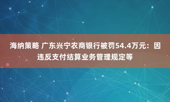 海纳策略 广东兴宁农商银行被罚54.4万元：因违反支付结算业务管理规定等