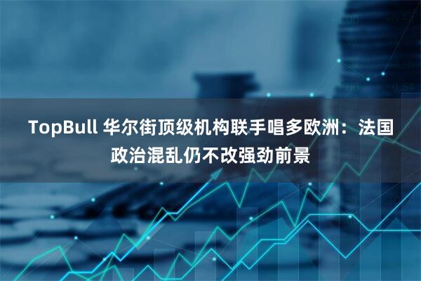 TopBull 华尔街顶级机构联手唱多欧洲：法国政治混乱仍不改强劲前景